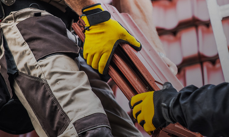 Protección de Manos y Brazos