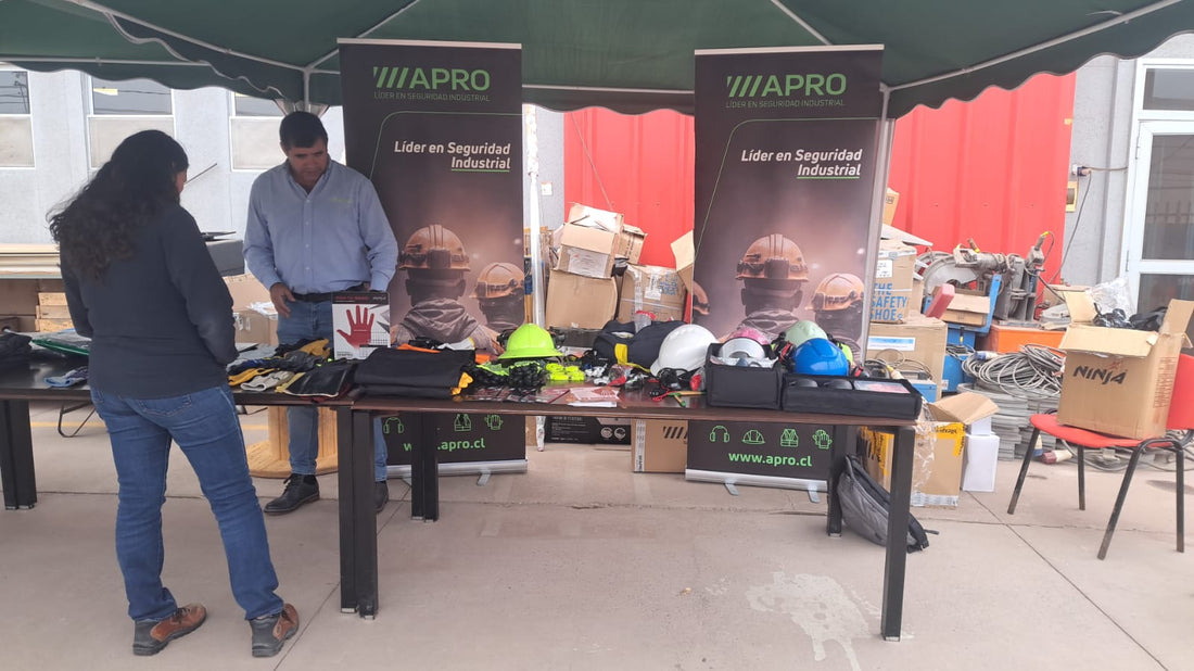 Presentes en Bureau Veritas de Alto Hospicio