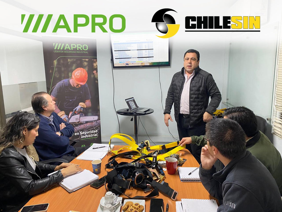 Capacitación de Chilesin para Apro: Presentación de Líneas y Catálogo Digital