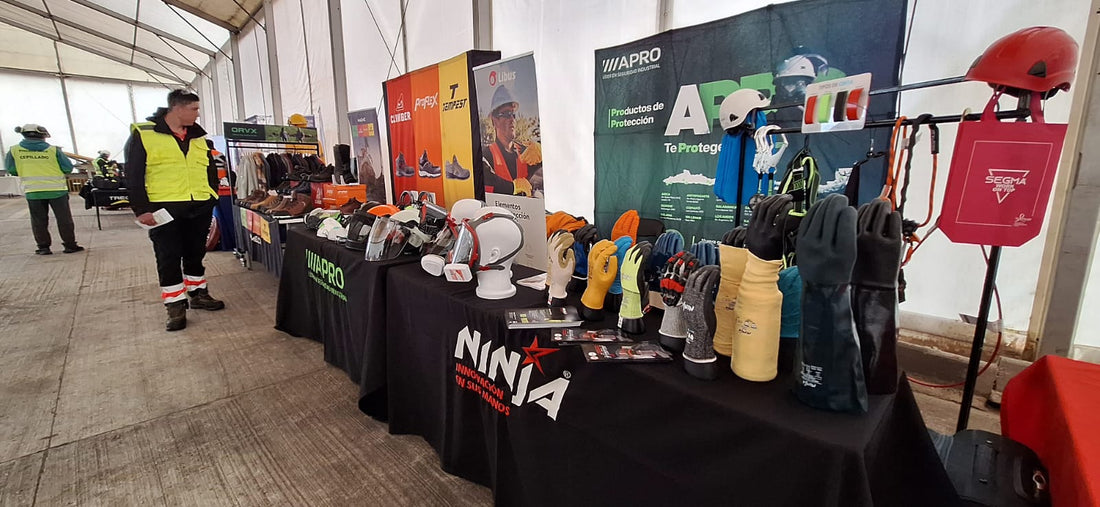 Feria de Seguridad y Salud Ocupacional en Maderas Arauco, Complejo Maderas Valdivia