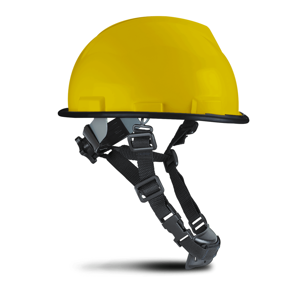 165477-1600-auto.png