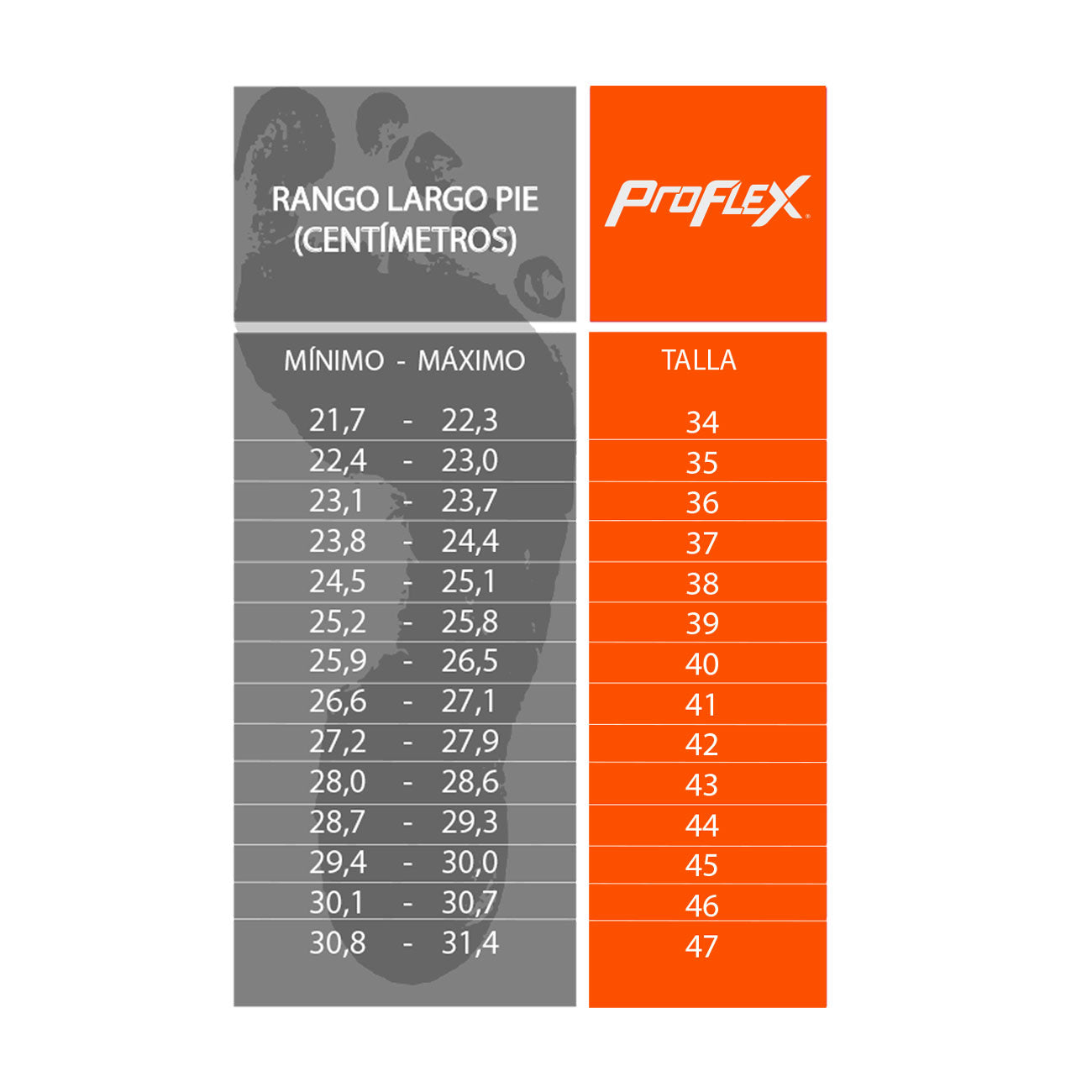 Botin de seguridad Proflex 132C